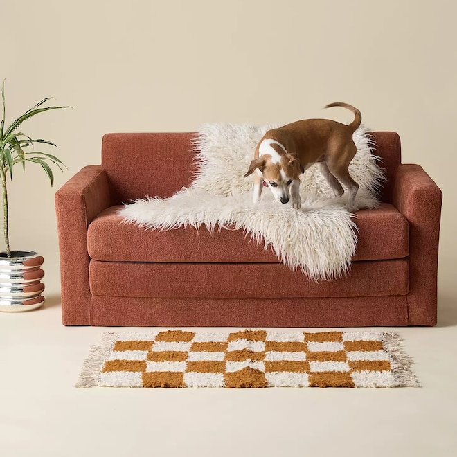 These Best Sofa Beds Under $500 Are Both Comfy & Cute